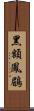 黑額鳳鶥 Scroll
