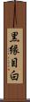 黒縁目白 Scroll