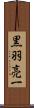 黒羽亮一 Scroll