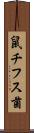 鼠チフス菌 Scroll