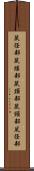 鼠径部 Scroll