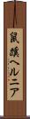 鼠蹊ヘルニア Scroll