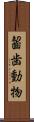齧歯動物 Scroll