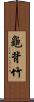 龜背竹 Scroll