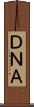 ＤＮＡ Scroll