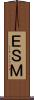 ＥＳＭ Scroll