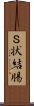 Ｓ状結腸 Scroll