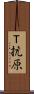 Ｔ抗原 Scroll