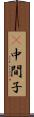Π中間子 Scroll