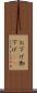 お下げ Scroll