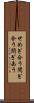 せめぎ合う Scroll