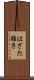 はざた雅子 Scroll