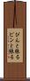 ぴんと張る Scroll