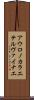 アウロノカラエテルヴァイナエ Scroll
