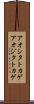 アオシタトカゲ Scroll