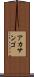 アカサンゴ Scroll