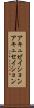 アキュゼイション Scroll