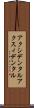 アクシデンタル Scroll