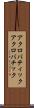 アクロバティック Scroll