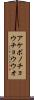 アケボノチョウチョウウオ Scroll