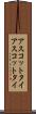 アスコットタイ Scroll