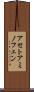 アセトアミノフェン Scroll