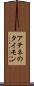 アテネのタイモン Scroll
