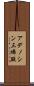 アデノシン三燐酸 Scroll