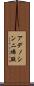 アデノシン二燐酸 Scroll