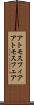 アトモスフィア Scroll