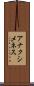アナクシメネス Scroll