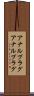 アナルプラグ Scroll