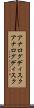 アナログディスク Scroll