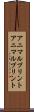 アニマルプリント Scroll