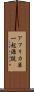 アフリカ単一起源説 Scroll