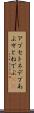 アプセトネデブ Scroll