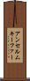 アンセルムキーファー Scroll