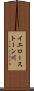 イエローストーン川 Scroll