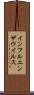インフルエンザウイルス Scroll