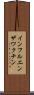 インフルエンザワクチン Scroll