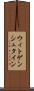 ウィトゲンシュタイン Scroll