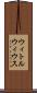 ウィトルウィウス Scroll