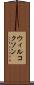 ウィルコクソン Scroll