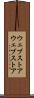 ウェブストア Scroll