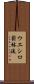 Ueshiro Shorin-Ryu / Ueshiro Matsubayashi-Ryu Scroll