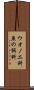 ウオノエ科 Scroll