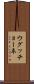 ウグッチョーネ Scroll