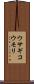 ウサギコウモリ Scroll