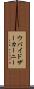 ウバイドザーカーニー Scroll
