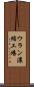 ウラン濃縮工場 Scroll